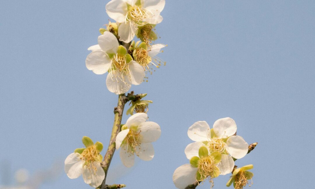 Why Outsourcing Payroll Is the Smartest Move in April
