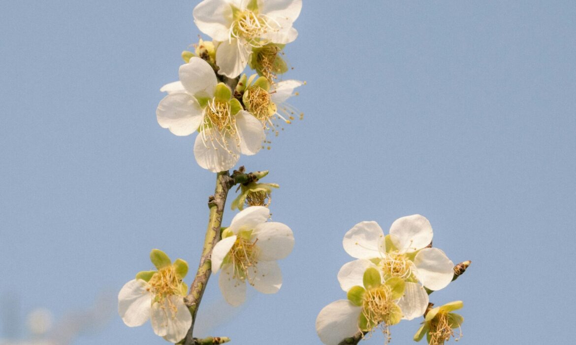 Why Outsourcing Payroll Is the Smartest Move in April