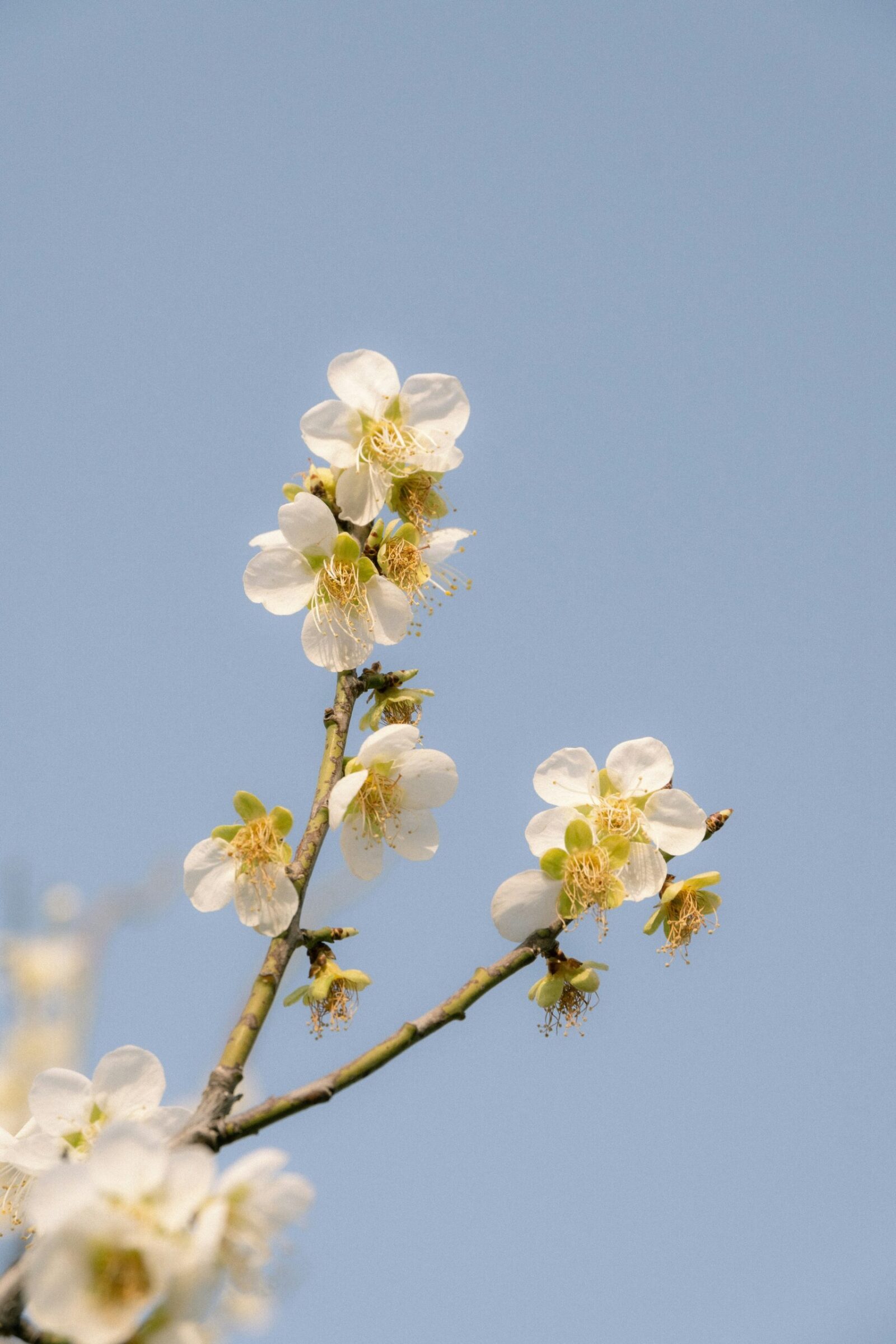 Why Outsourcing Payroll Is the Smartest Move in April