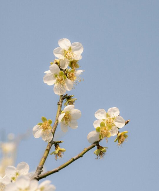 Why Outsourcing Payroll Is the Smartest Move in April