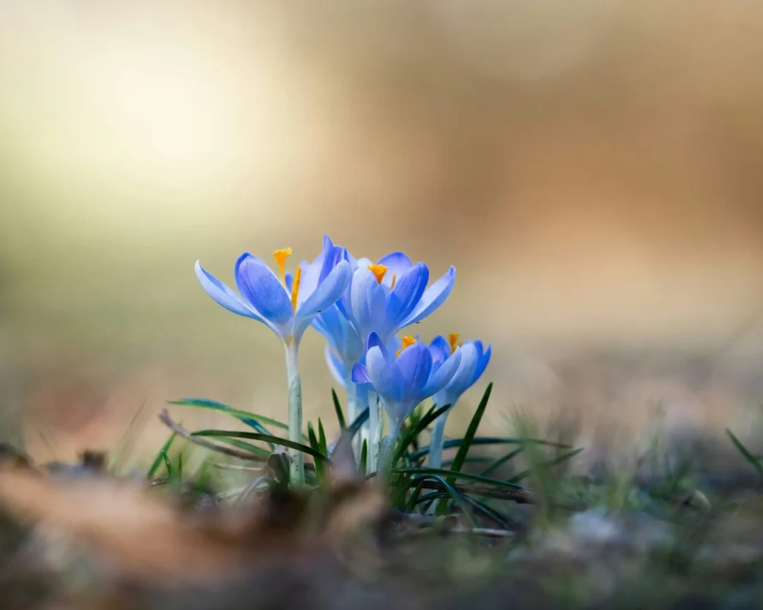 The Connection Between Wellness and Productivity