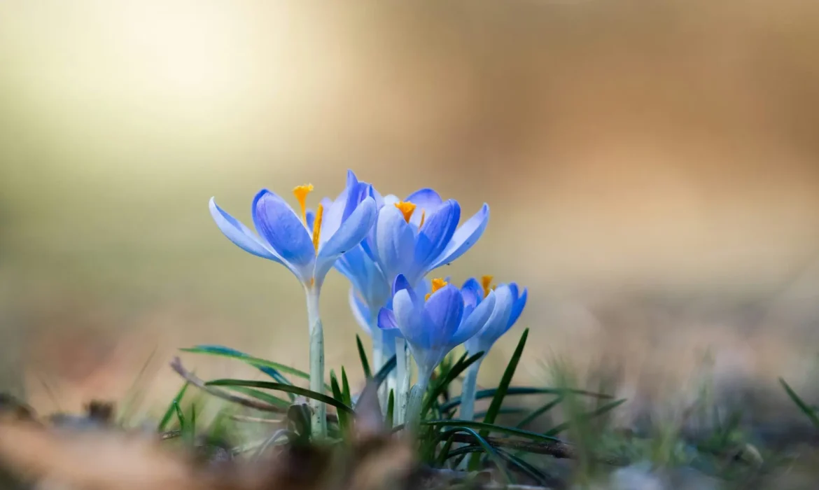 The Connection Between Wellness and Productivity