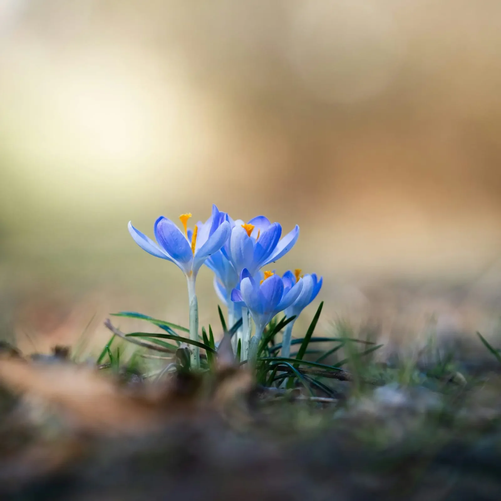 The Connection Between Wellness and Productivity