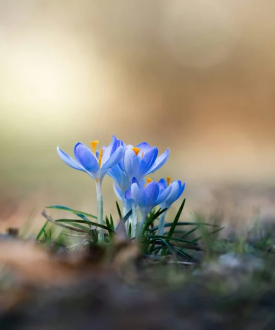 The Connection Between Wellness and Productivity
