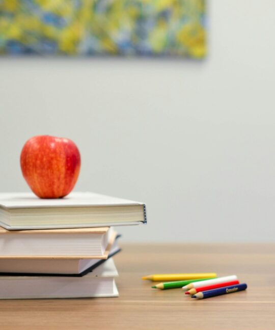 Back to Business Basics: Strengthen Your HR Foundation