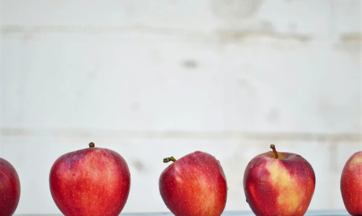 How to Turn Knowledge into Culture