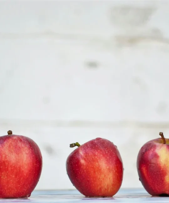 How to Turn Knowledge into Culture